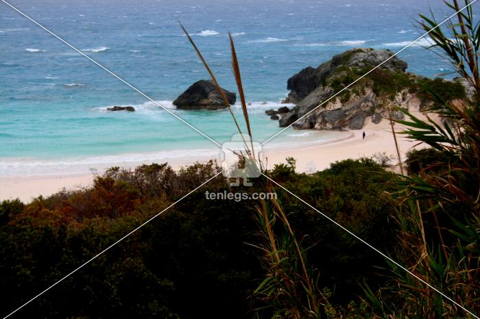 Bermuda, British territory, North Atlantic Ocean by Surbhee Grover | Visual | Tenlegs