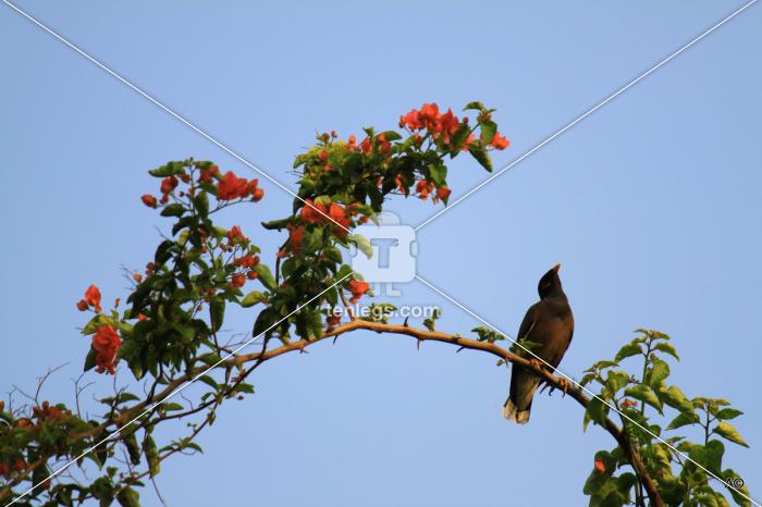 Waiting by Atul Chaudhari | Visual | Tenlegs
